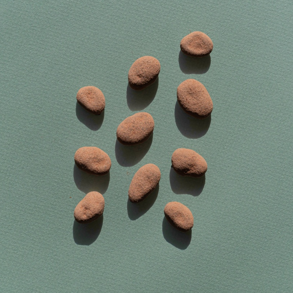 Buy Chocolate Covered Cacao Beans - Organic & Vegan Snack